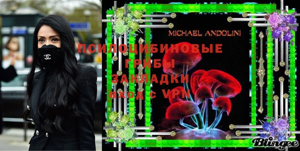 прущие грибы Алексеевка