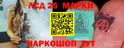 шишки Можга
