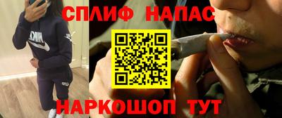 шишки Можга