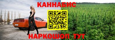 шишки Можга