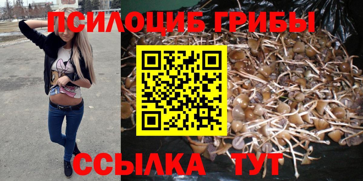 Псилоцибиновые грибы ЛСД Норильск