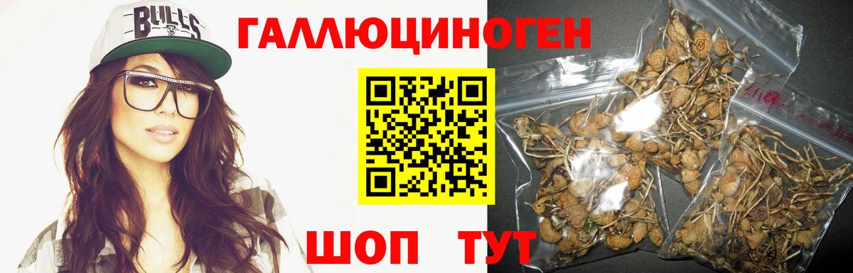 Псилоцибиновые грибы MAGIC MUSHROOMS  Вход с VPN  Норильск 