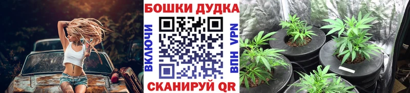 МЕГА ССЫЛКА  Норильск  Бошки марихуана Amnesia 